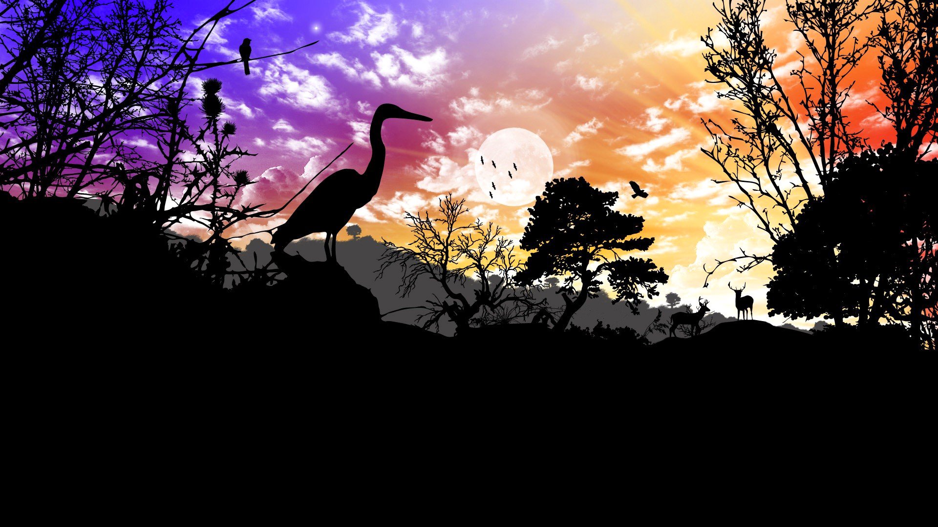 himmel wolken sonnenuntergang bäume natur landschaft tiere vogel hirsch silhouette collage