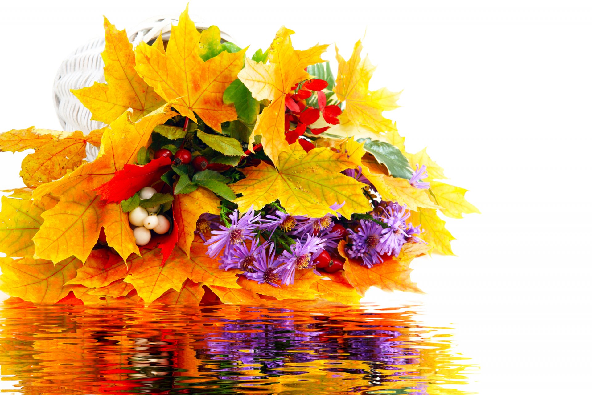 bouquet leaves flower autumn water reflection