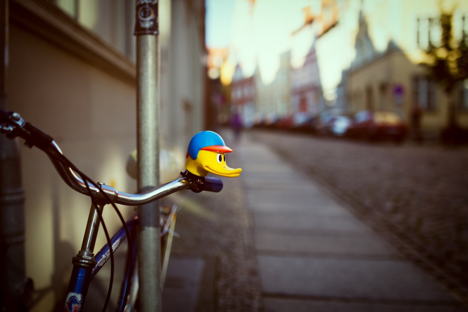 bike duck house