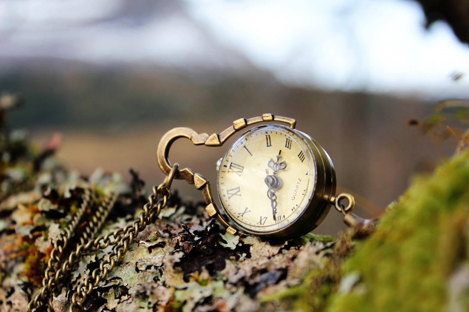 reloj corteza madera cadena colgante