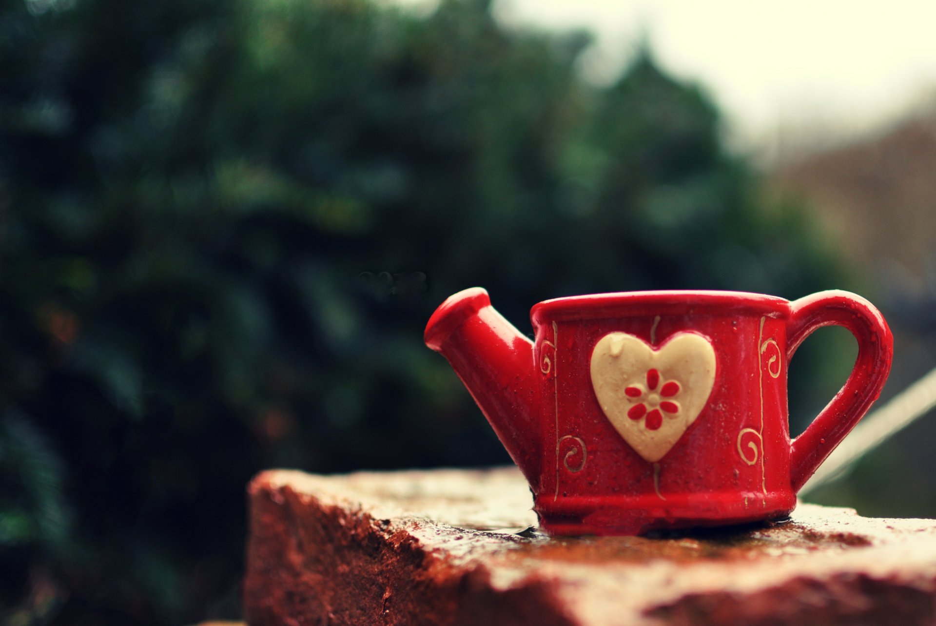 tazza annaffiatoio tazza cuore cuore