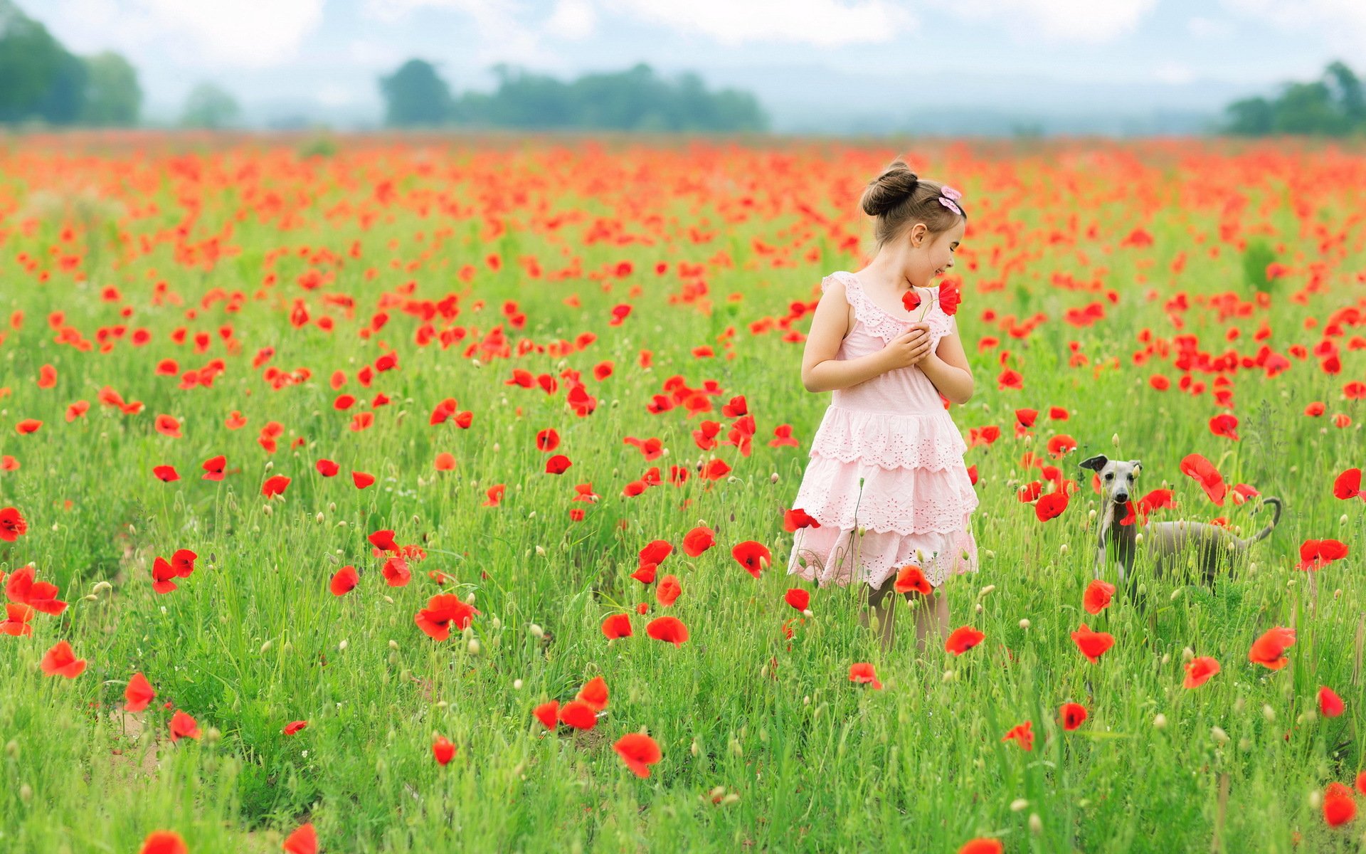 fille chien été coquelicots