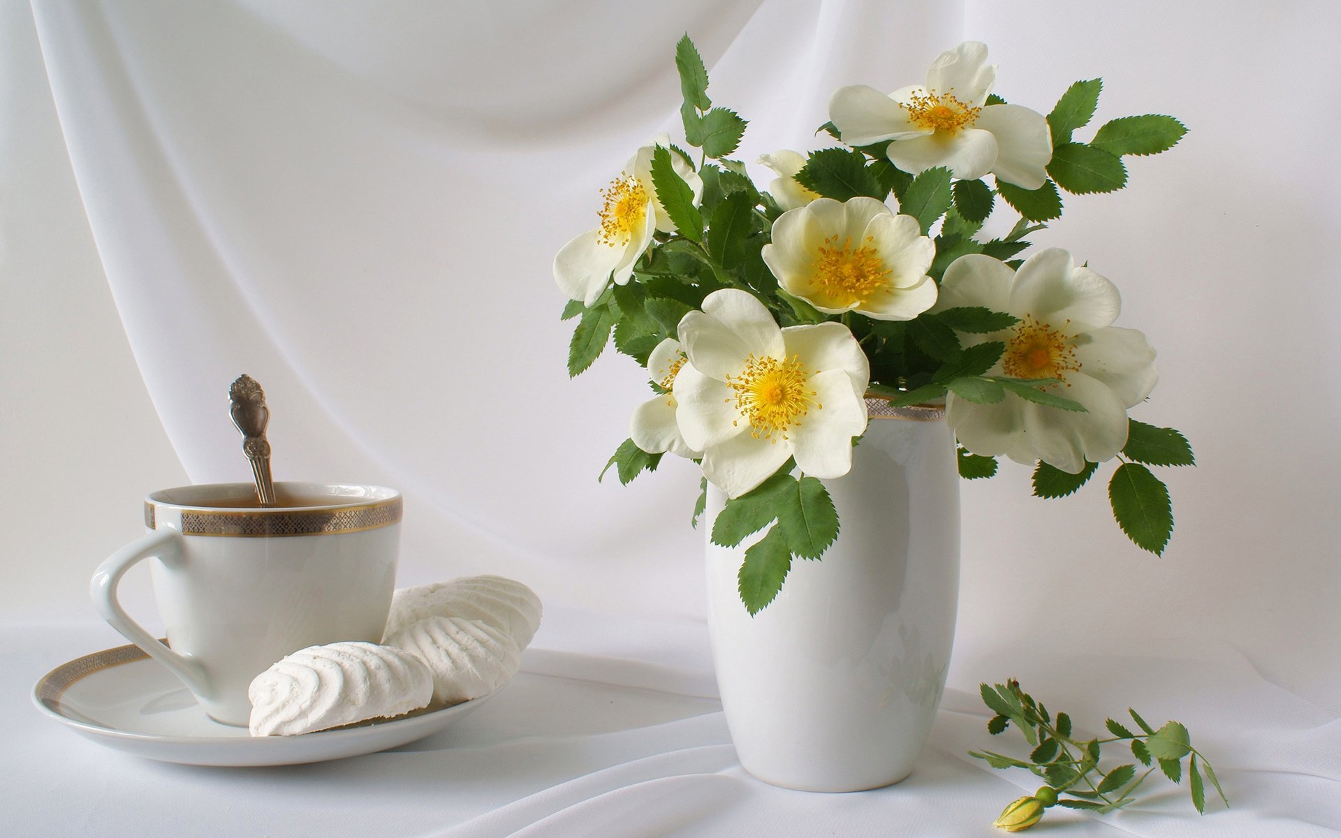 natura morta vaso fiori petali bouquet tazza tè piattino marshmallow