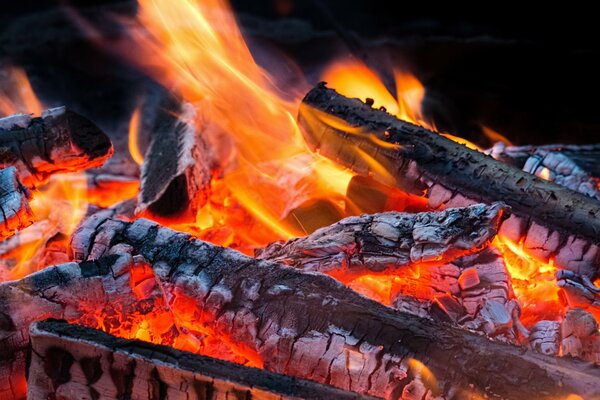 Płomienie ogniska z kłodami pokrytymi popiołem