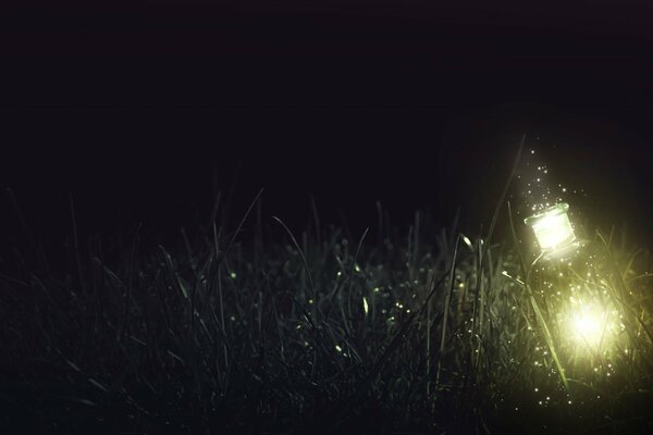 Die Flasche leuchtet nachts im Gras wie eine Laterne