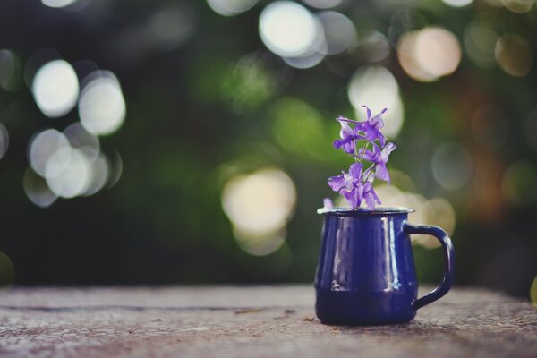 Tasse pourpre avec une fleur avec des reflets en arrière-plan