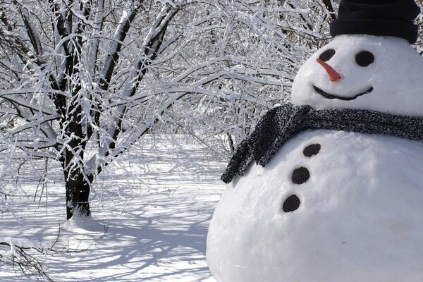 Muñeco de nieve alegre vestido con una bufanda y un sombrero