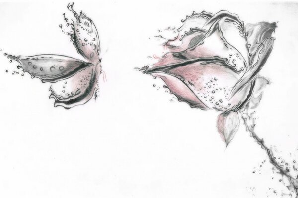 Muster eines Brokatschmetterlings zur Blume