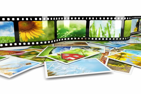 Fotofilm mit Farbbildern der Natur
