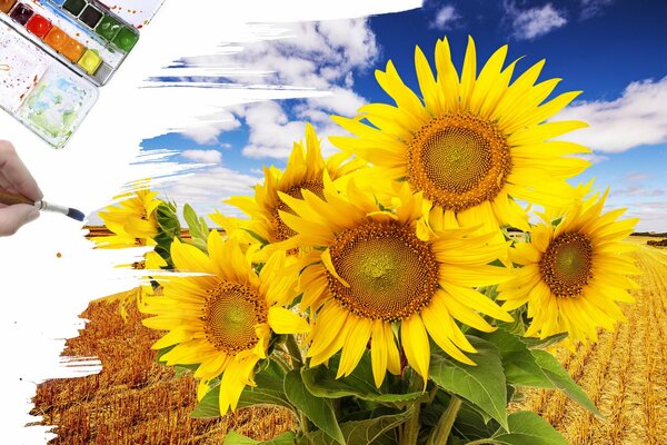 El dibujo creativo de los girasoles en el campo por el pincel y las pinturas