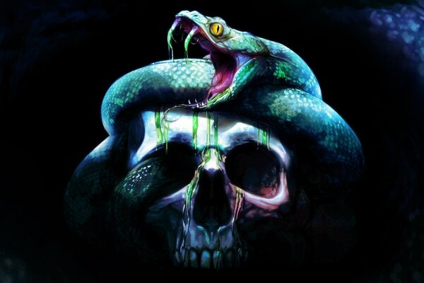 Serpent effrayant sur le crâne dans l obscurité