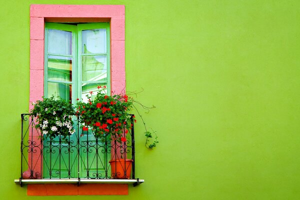 Französischer Balkon mit Blumen an der hellgrünen Wand