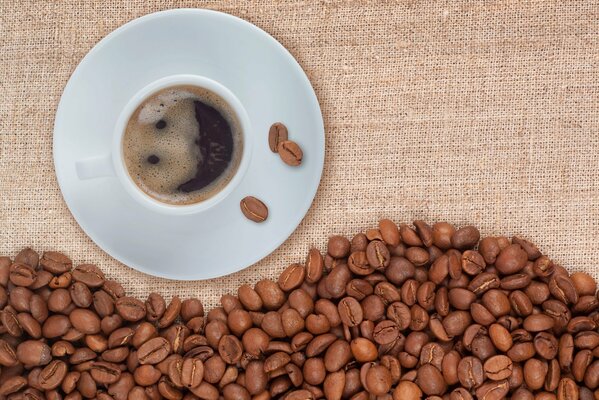 Tasse de café sur soucoupe et grains de café