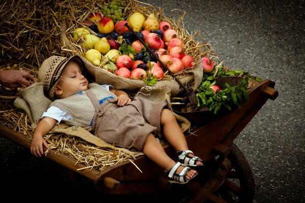 Ragazzo in carrello con cesto di frutta