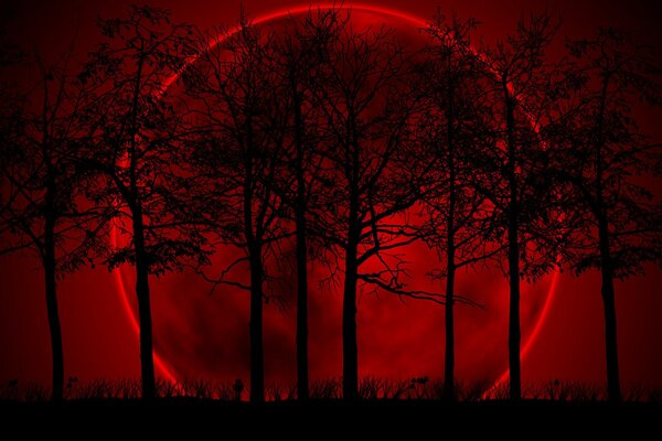 Grande luna di alberi di colore di fuoco, sfondo cupo