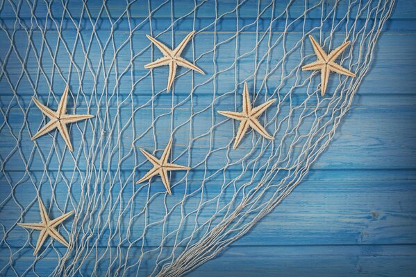 A net with starfish on a background of blue boards