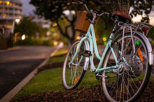 Bike on the evening lawn with a beautiful bokeh