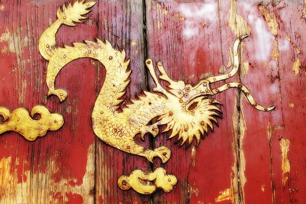 Decorazione a forma di drago sulle porte