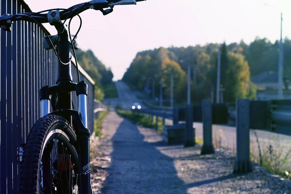 Sonnige Stimmung für eine Radtour