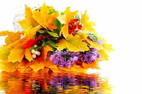 Autumn Beautiful composition in bright colors