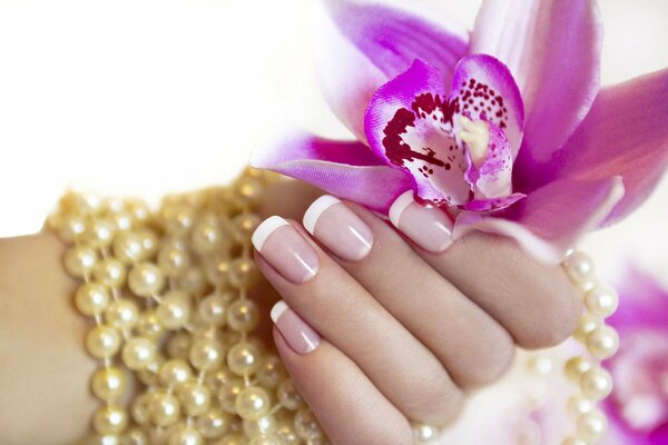 La mano de la mujer con la manicura sostiene la flor