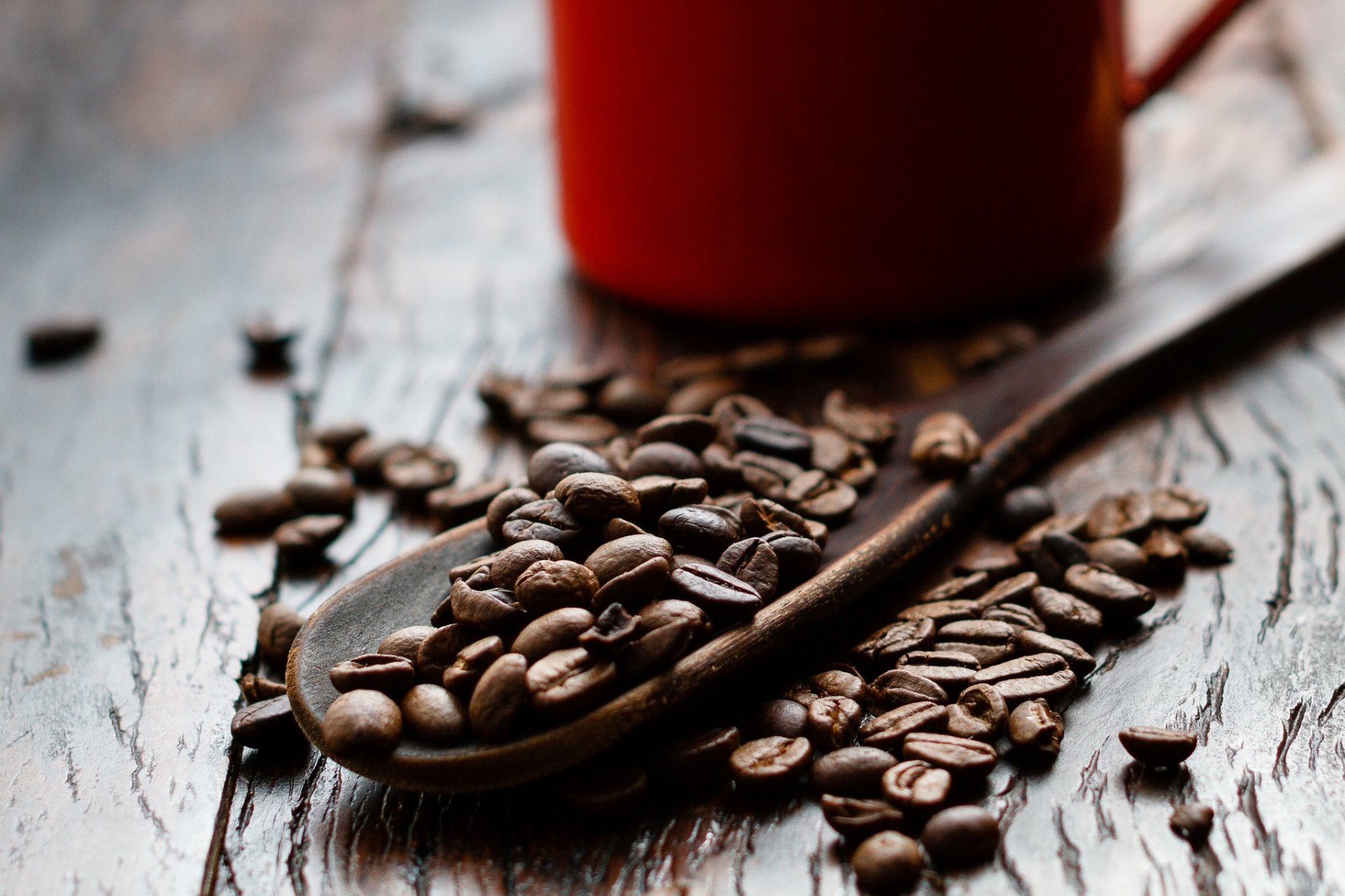 coffee grain cup spoon close up table