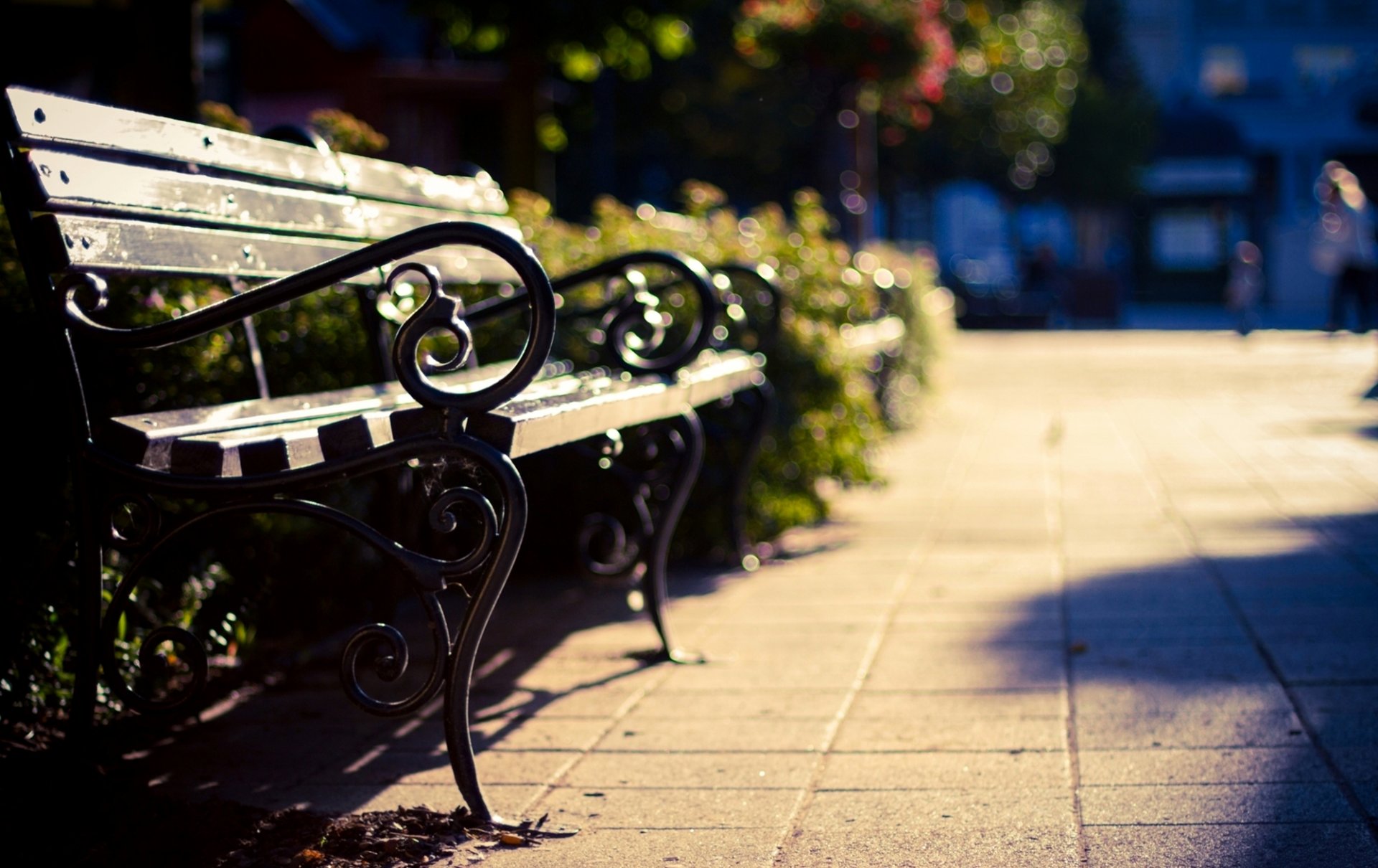 bank bank bank bank bank fliesen bäume büsche bokeh unschärfe