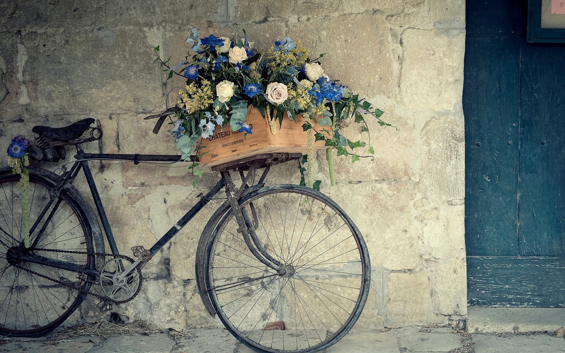 pared bicicleta flores