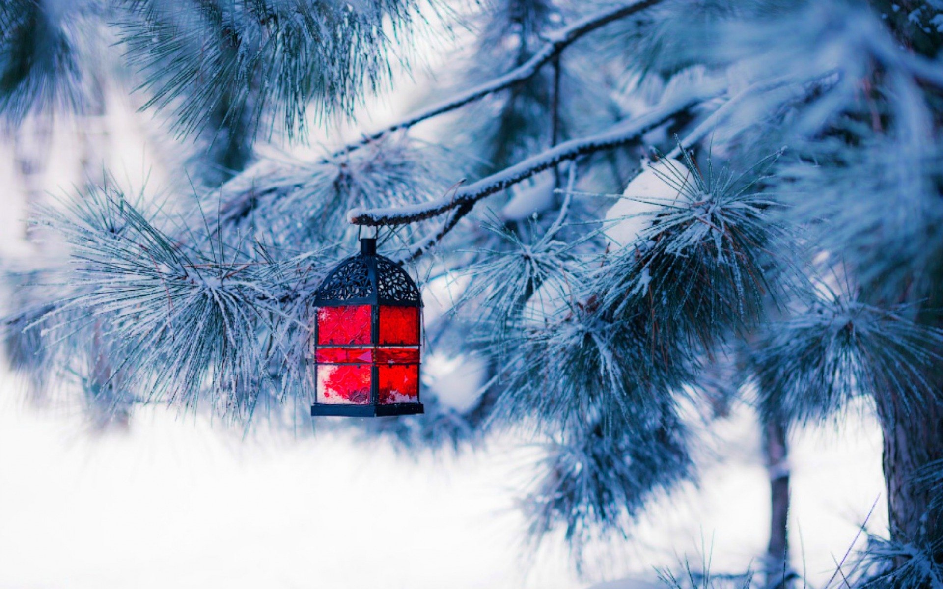 christmas new year christmas tree snow winter light