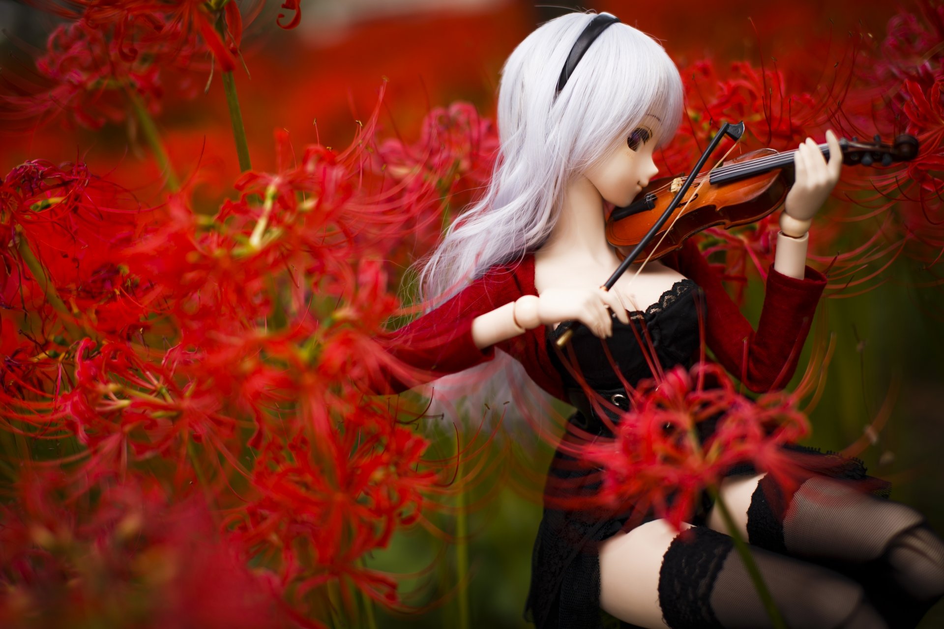 spielzeug puppe violine blumen