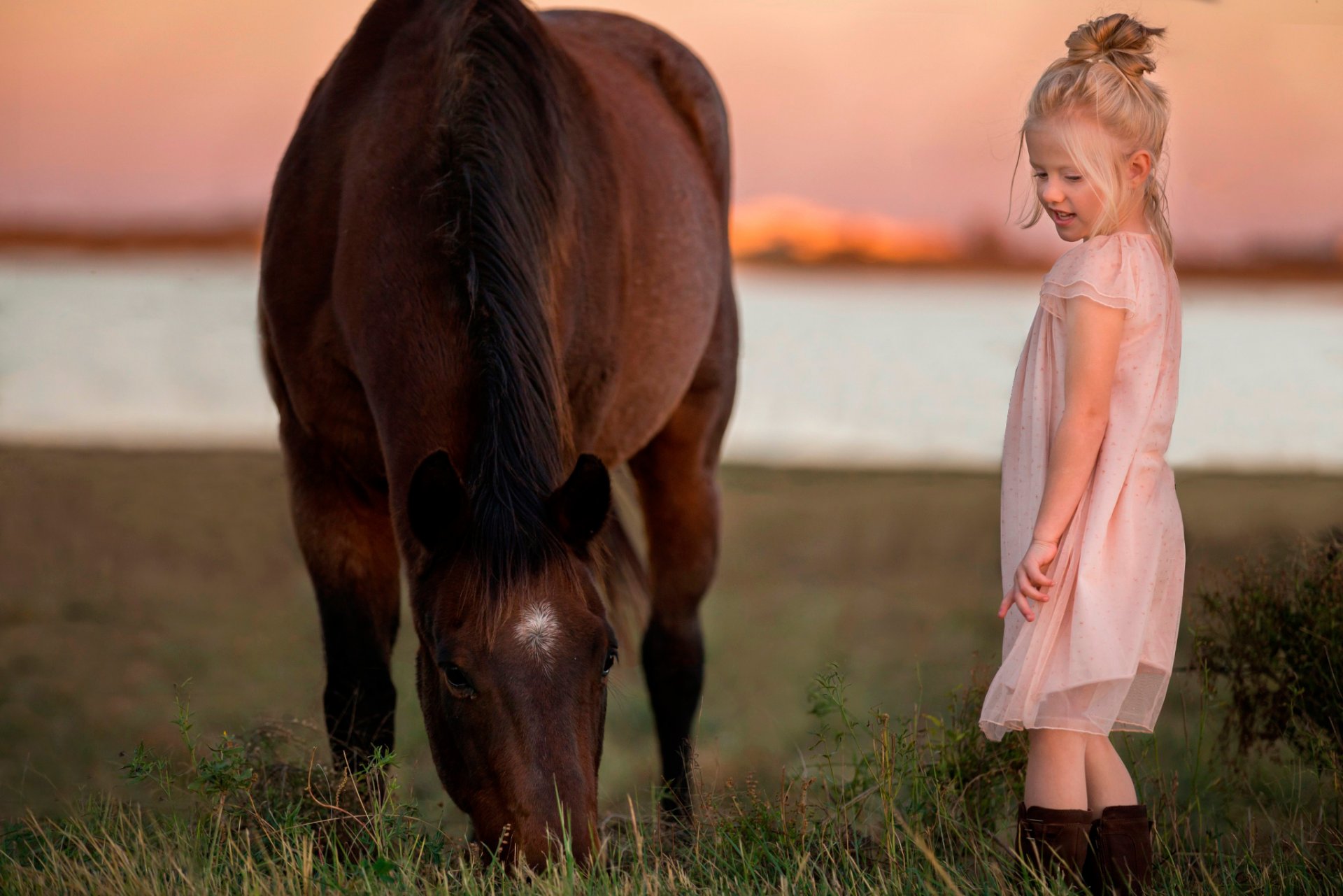 girl dress horse nature sunset