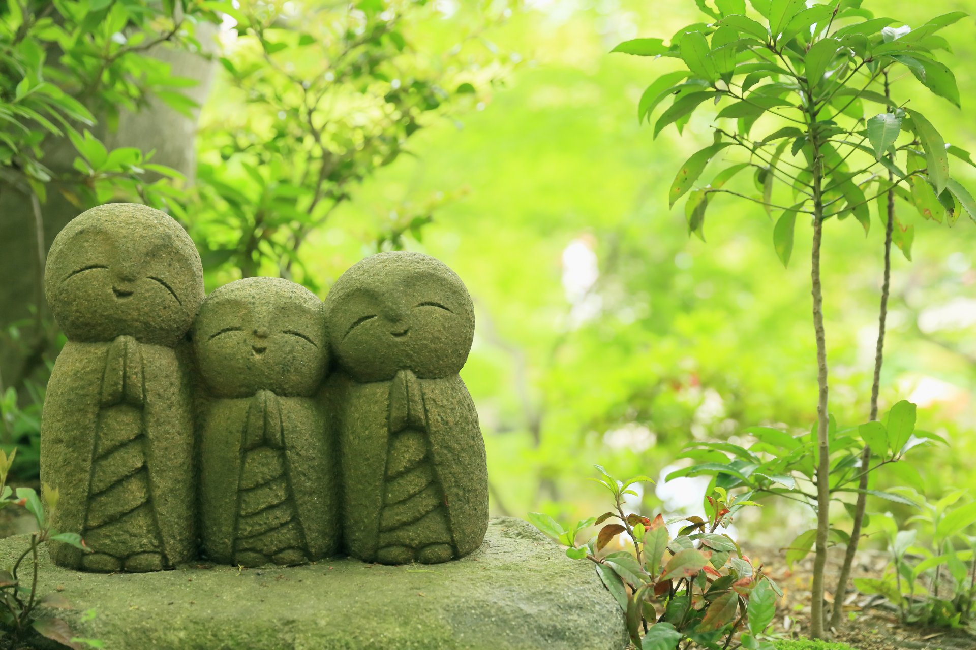 hasedera temple kamakura japon jizo statues temple statues jizo