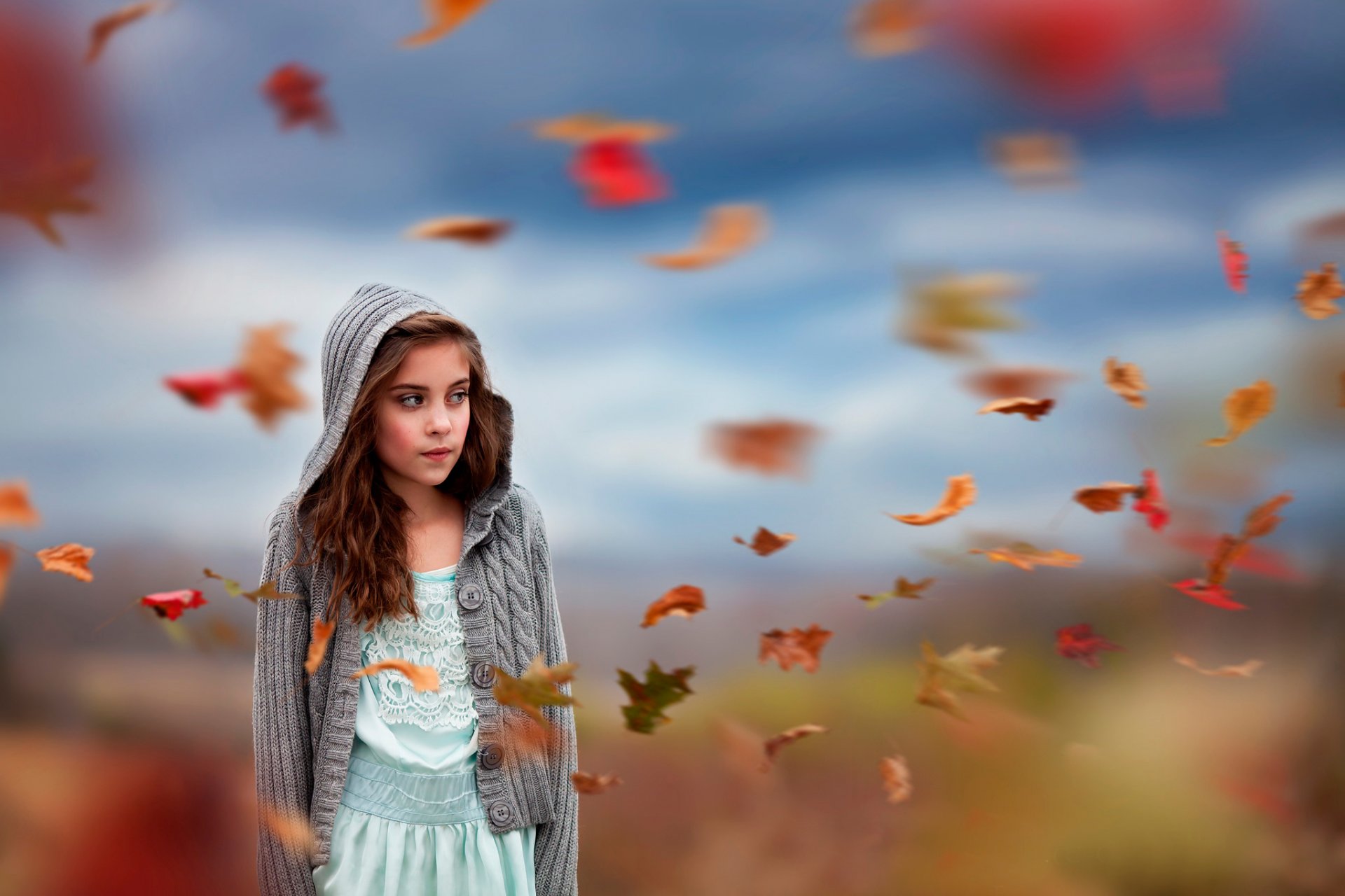 flut mädchen wind herbst blätter