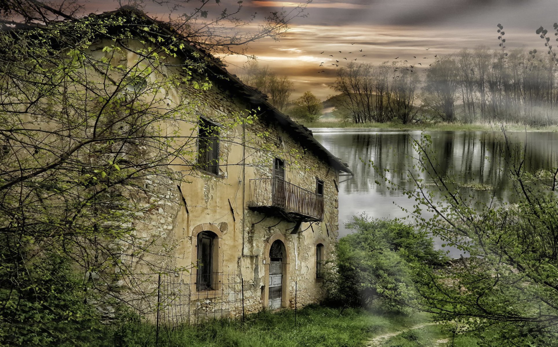 abandoned house river tree