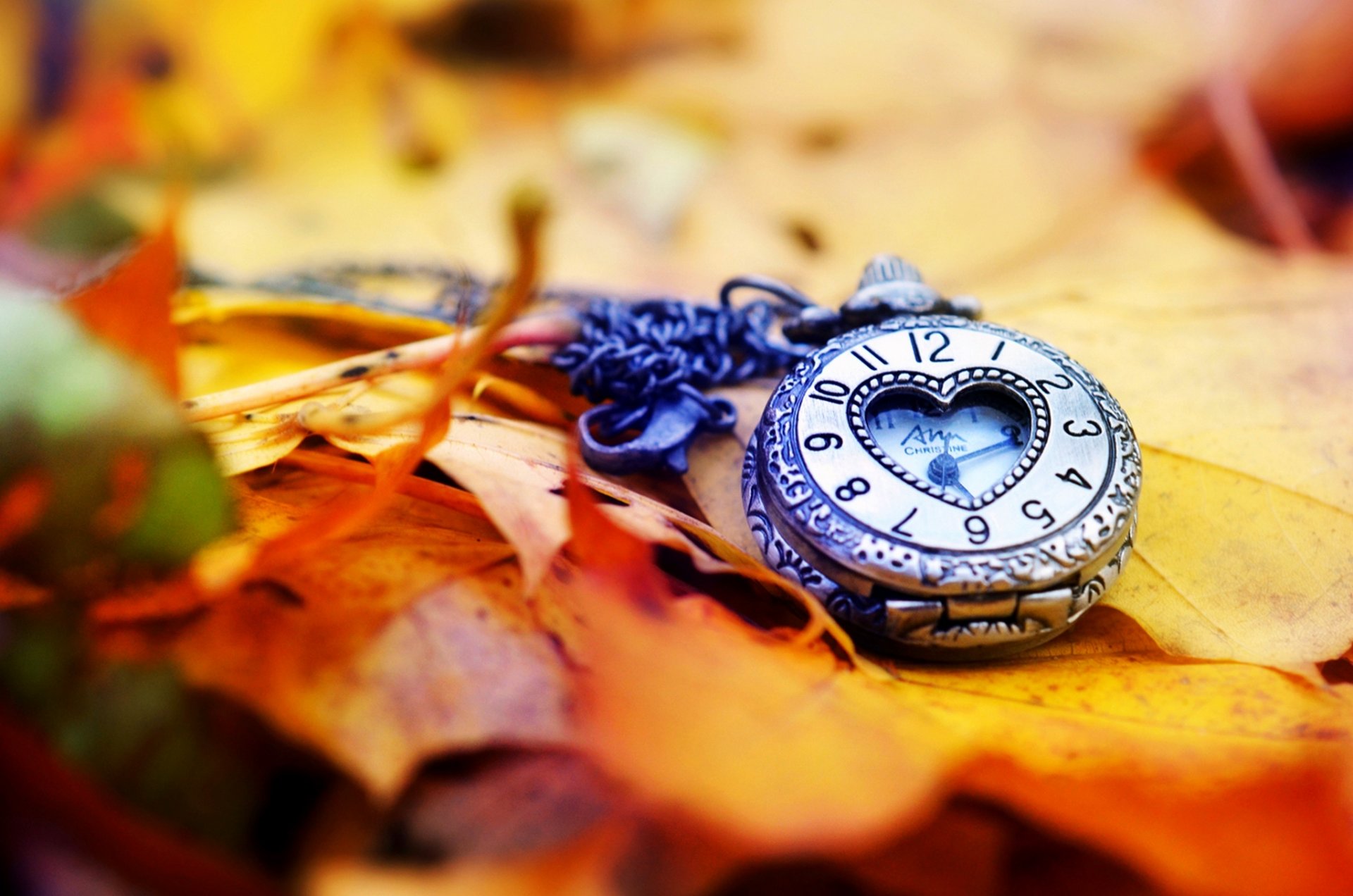 montre cadran feuilles automne amour cadran mains coeur