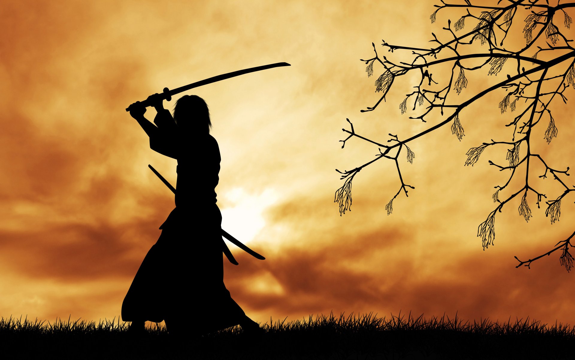 silhouette guerrier bushido chemin guerrier esprit codex samouraï samouraï épée katana matin arbre branches sérénité nature beau fond fond d écran