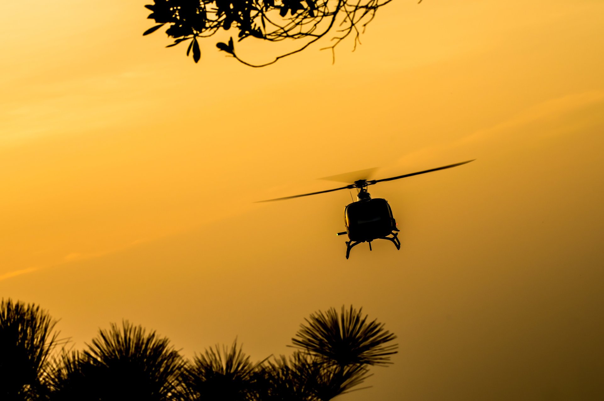 silhouette hélicoptère spinner vol hélices aube nature beau fond fond d écran