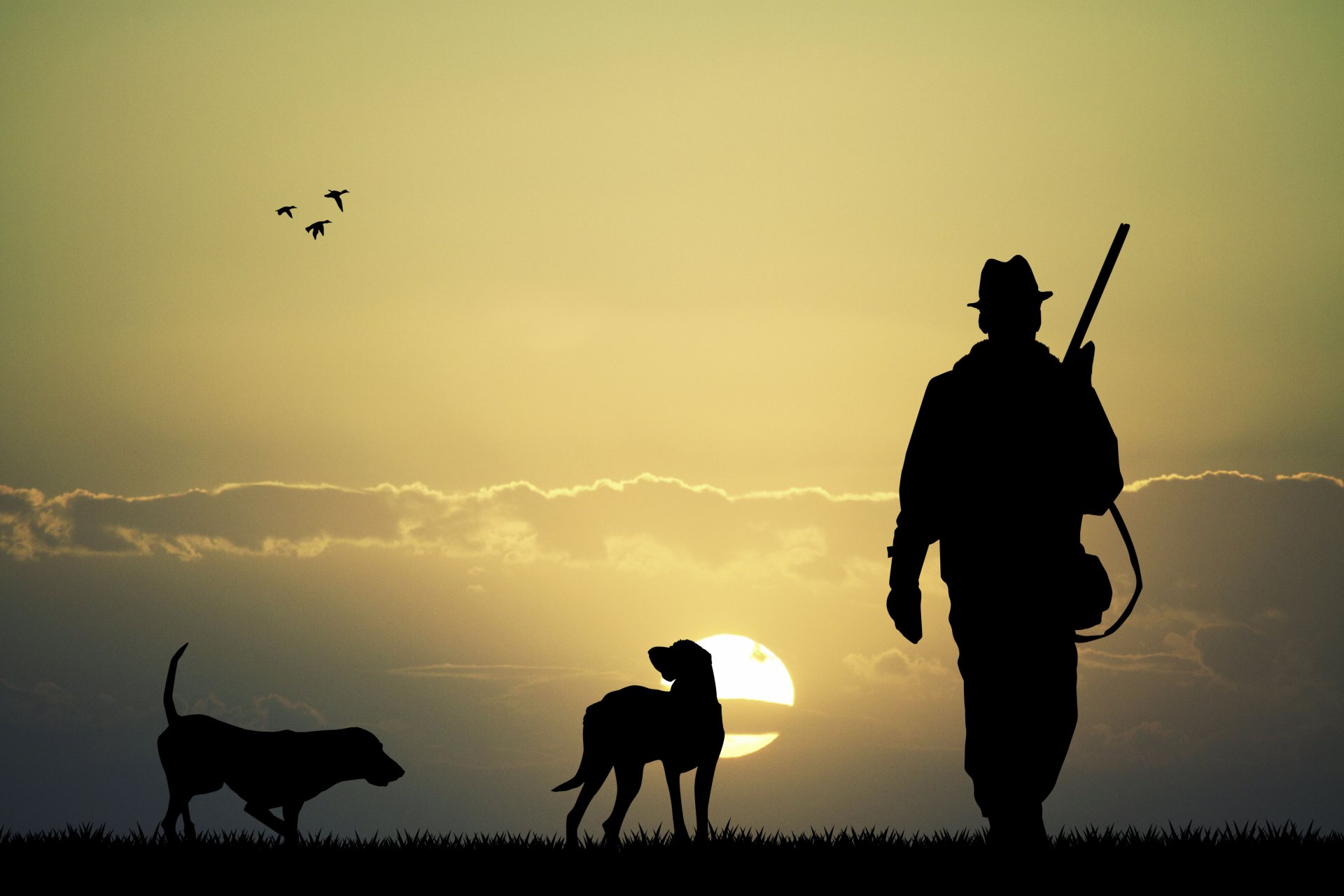 silueta caza arma escopeta rifle cazador dos perros llanura puesta de sol cielo patos naturaleza hermoso fondo fondo de pantalla