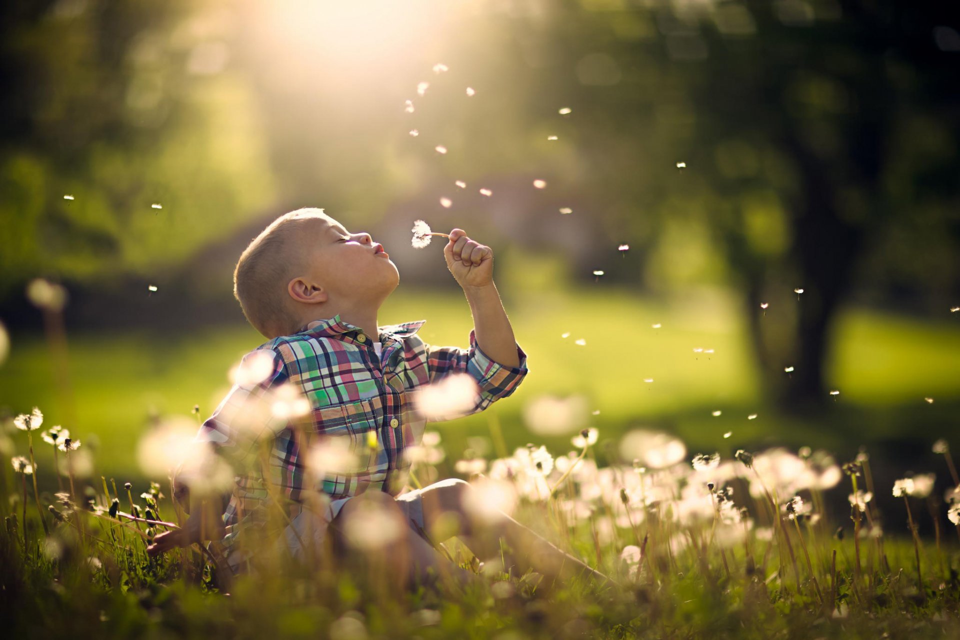 niño verano alegría naturaleza