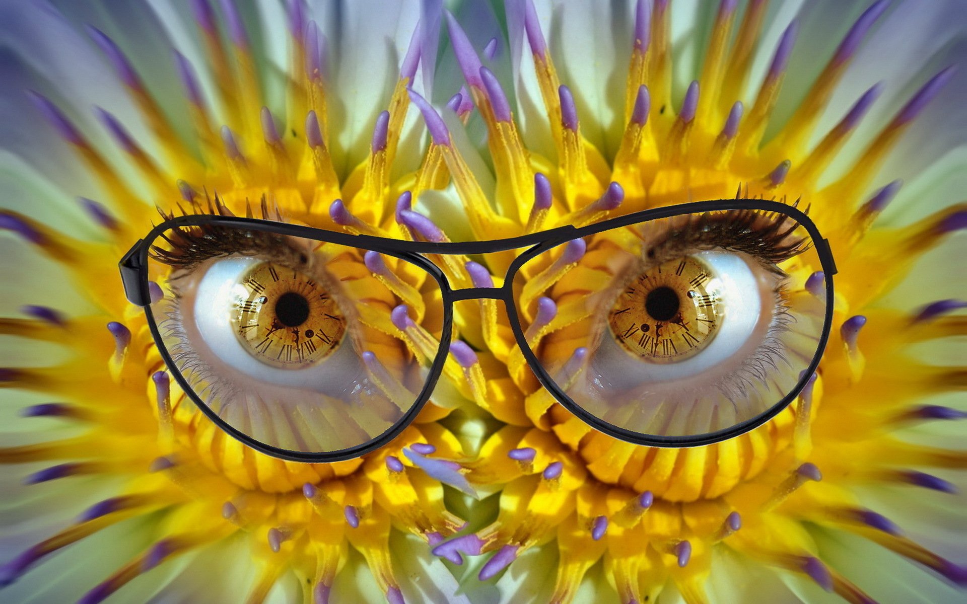 blumen brille augen pupillen zifferblatt