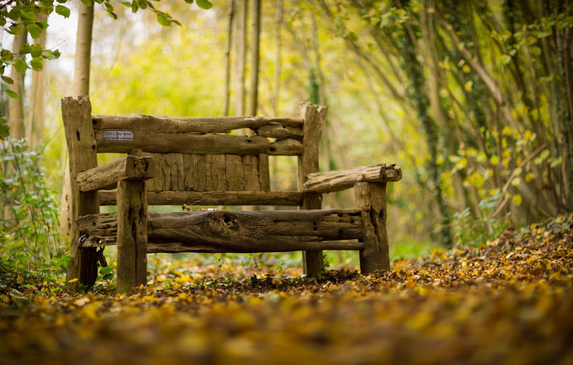 bank herbst hintergrund