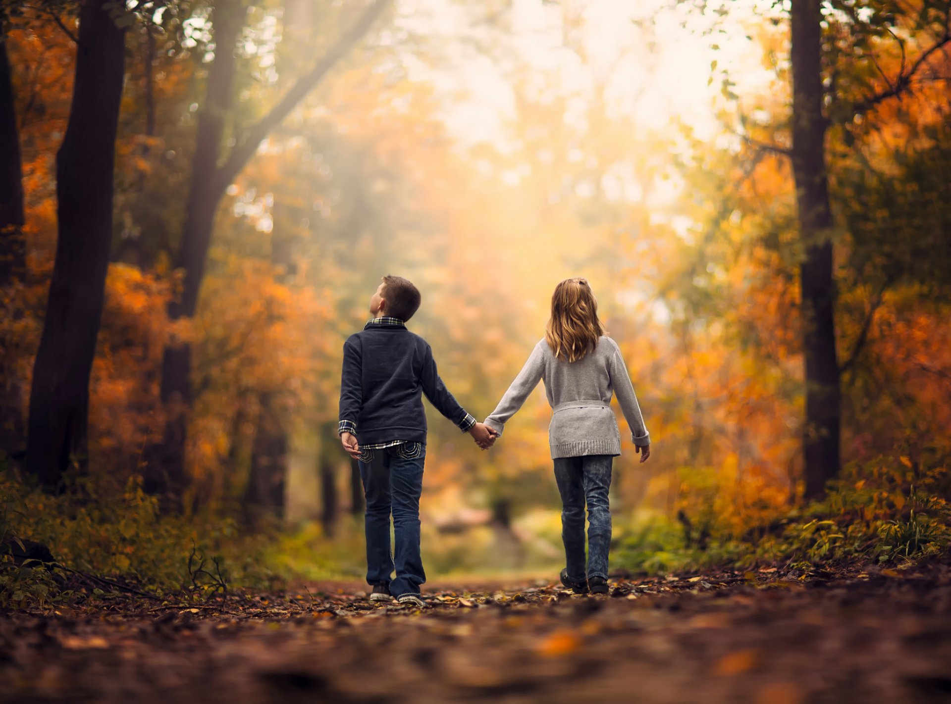 niños otoño bosque paseo