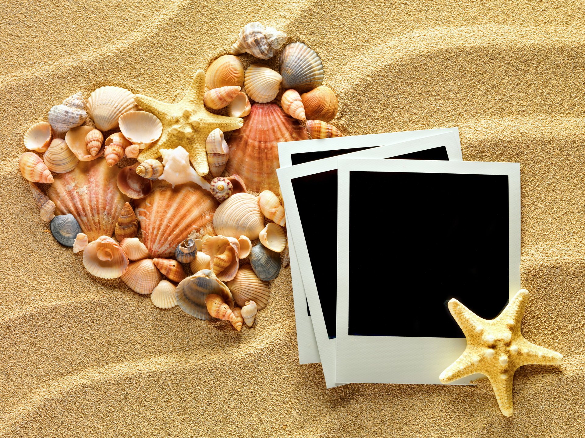 and textures shells starfish photo frame heart