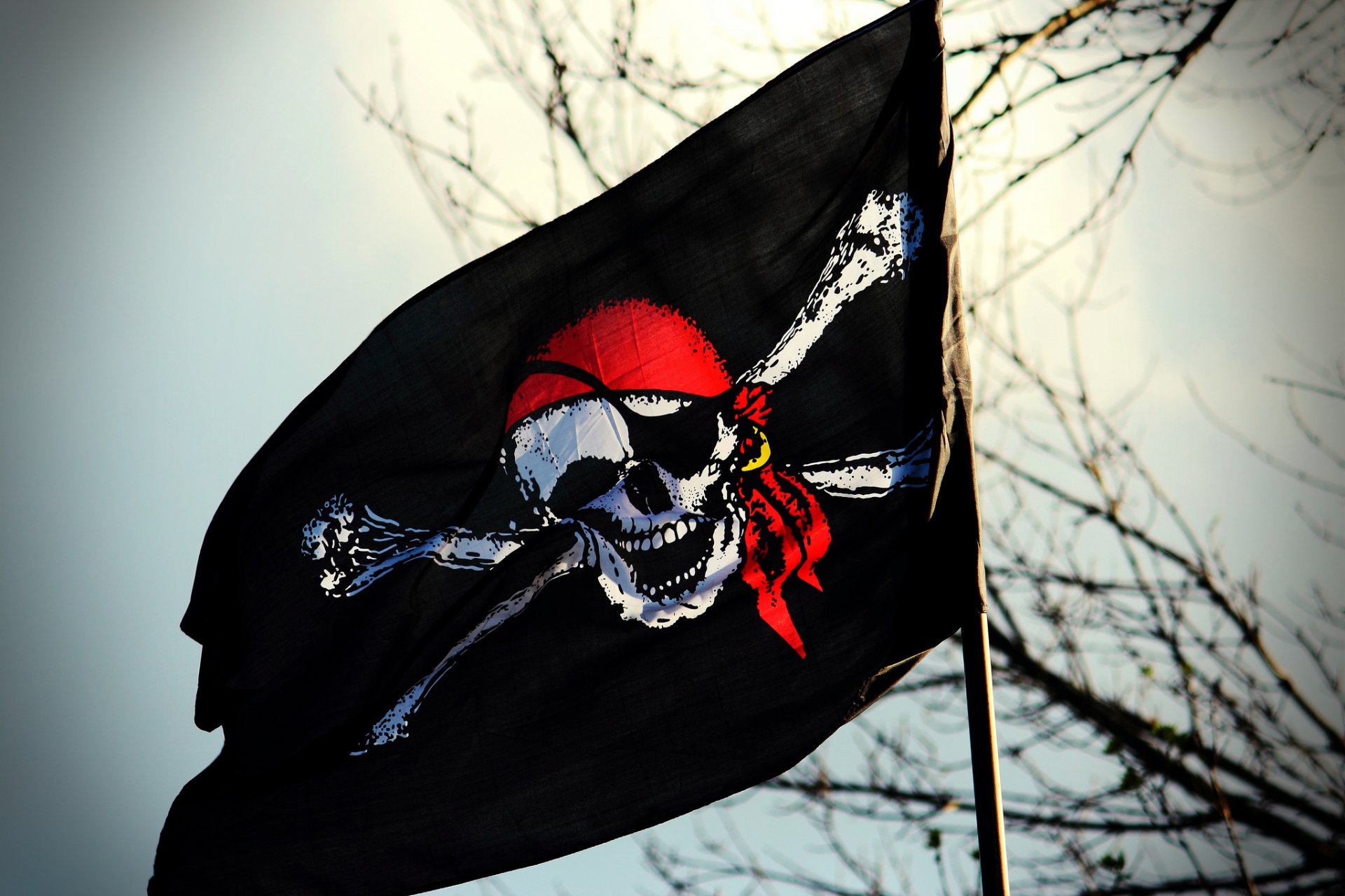 flag skull jolly roger pirate