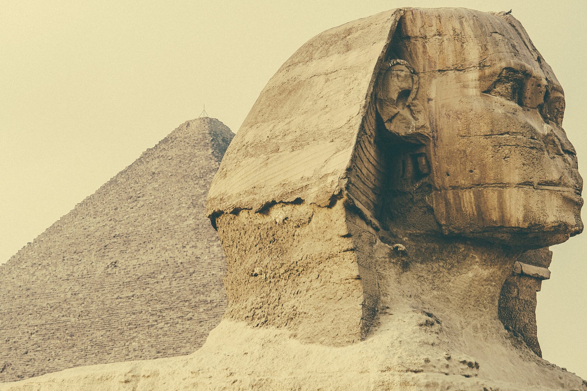 egypte sphinx sculpture pyramide