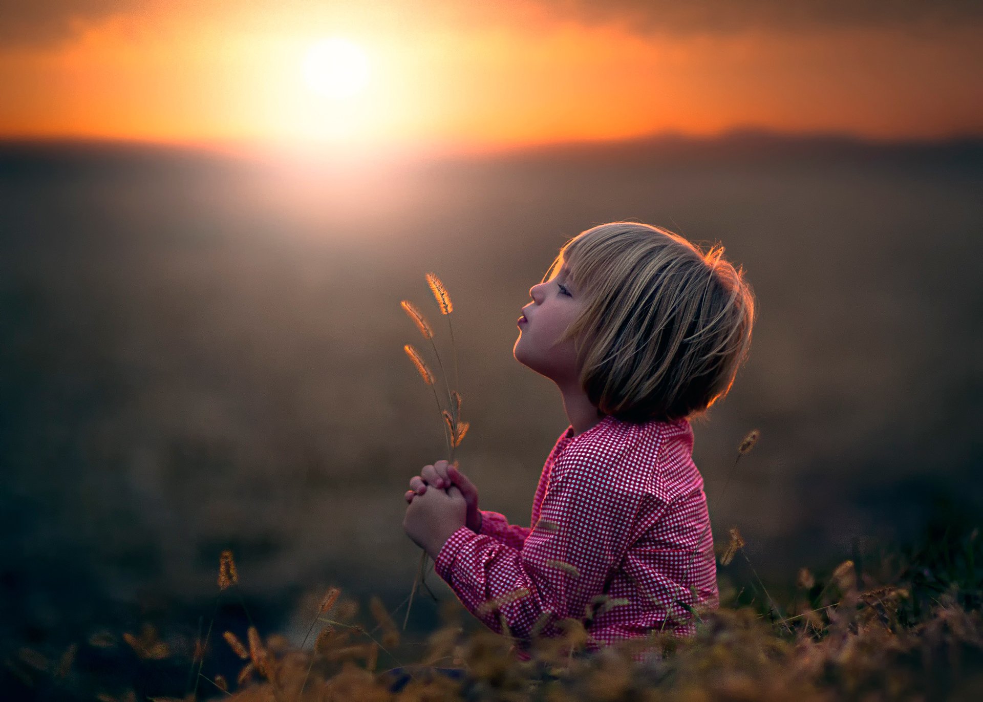 girl the field sun