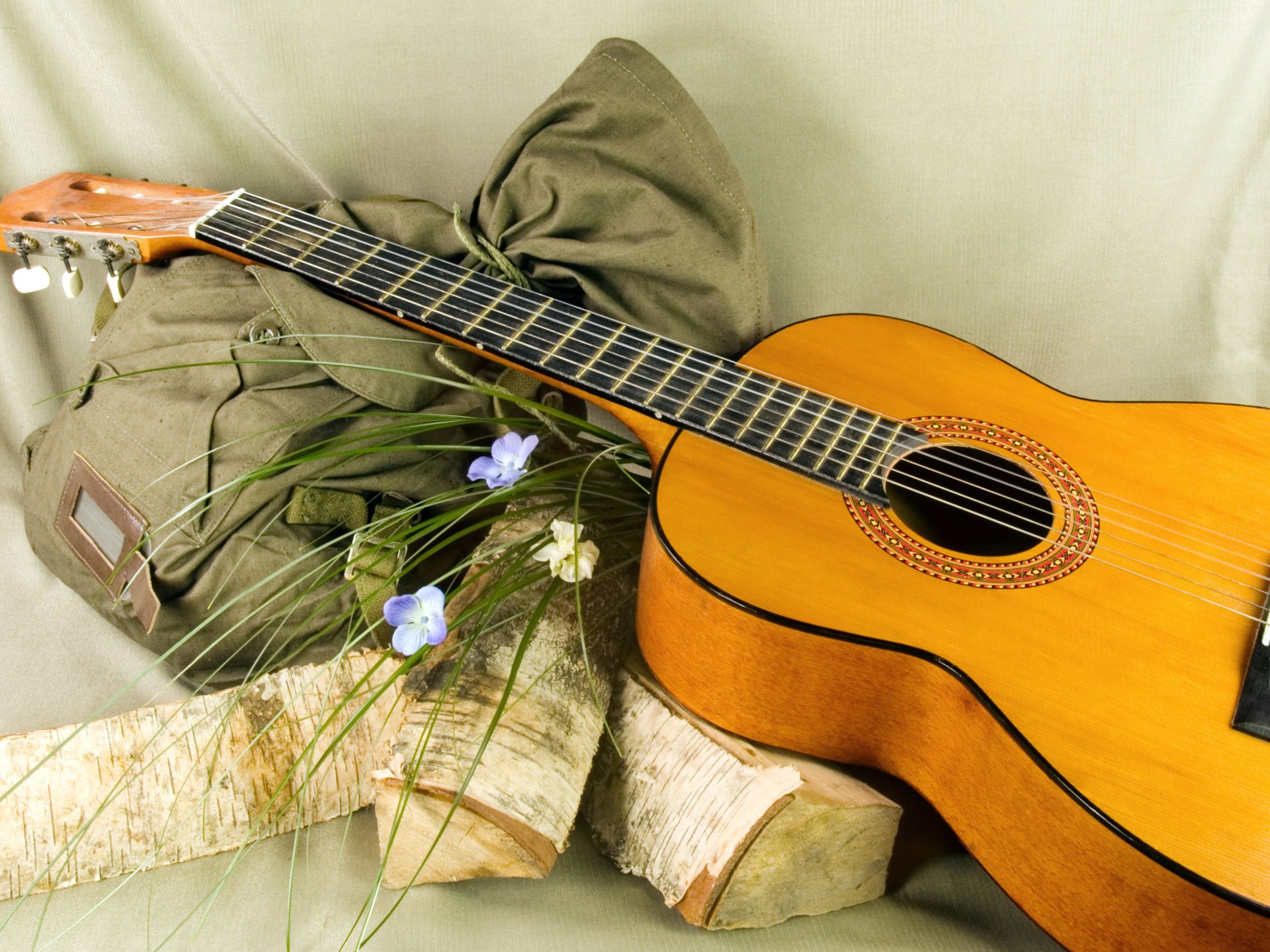 guitare sac à dos fleurs bûches fond romance