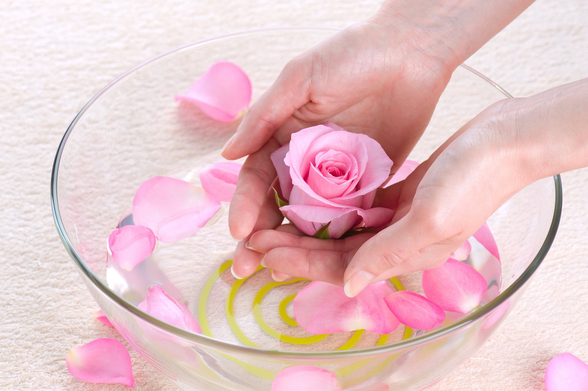 bowl water petals rose hand