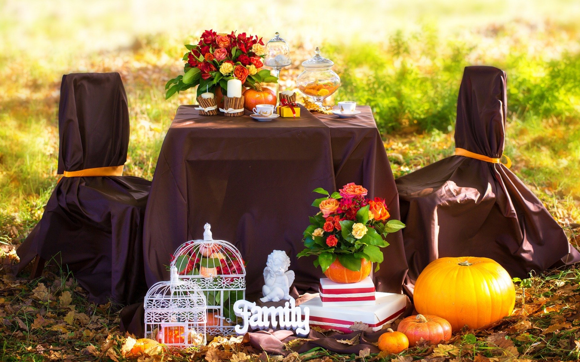 autumn picnic leaves flower roses candles grass coffee