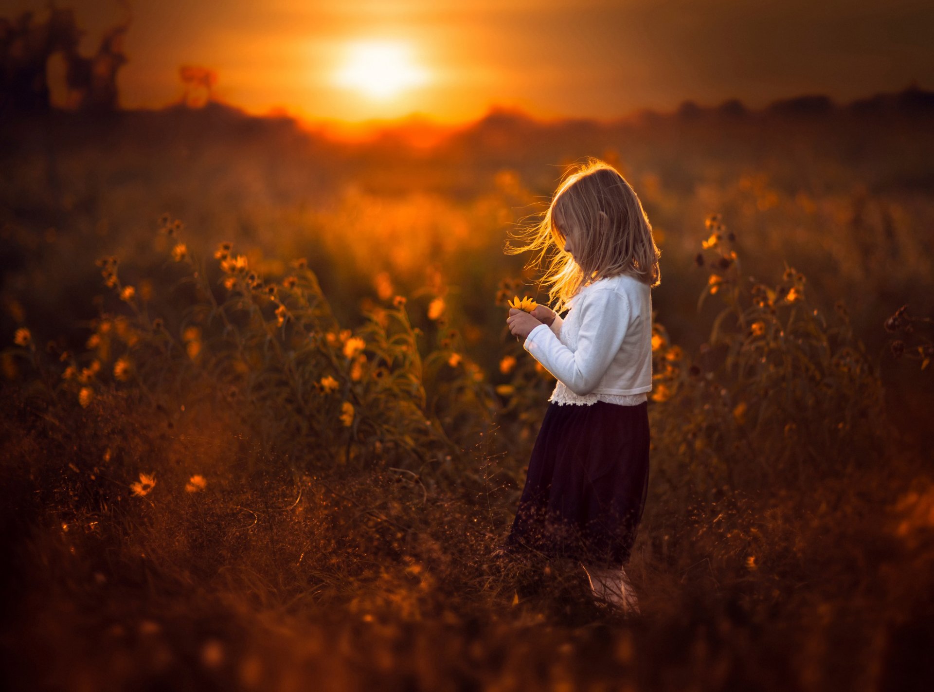 girl the field flowers sunset sun